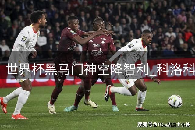 世界杯黑马门神空降智利 科洛科洛迎来新守护神